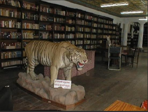 Biblioteca Kaiser. Fptp tomada por un viajero en 2010. Fuente: TripAdvisor